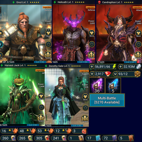 Raid shadow - raid,