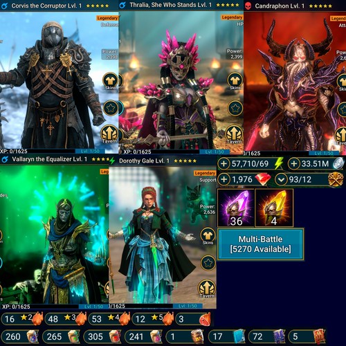 Raid shadow - raid,