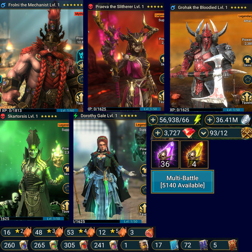 Raid shadow - raid,
